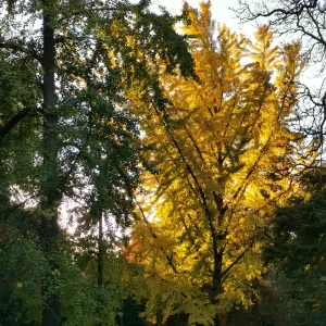 Recherche assistante maternelle agréé 