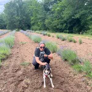 Pet-Sitter à Figeac  durant les vacances 