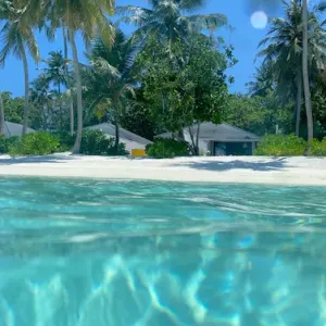 Busco limpiador de vivienda en Alcanar Platja. Puntual