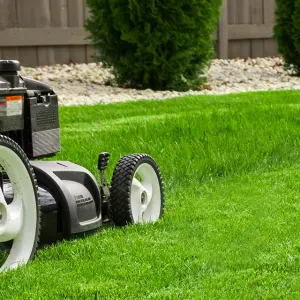 Tonte de Pelouse | Taille de Haie | Entretient de Jardin