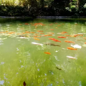 Posição para um cuidador