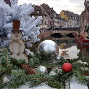 Estoy buscando un cuidador de mascotas en Armilla