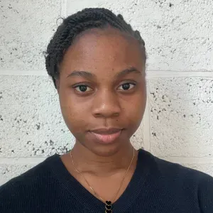 Femme de ménage responsable disponible à Libramont 