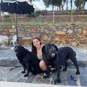 Pet sitting no Marco de Canaveses