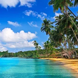 Lavoro per adetto alle pulizie a Sant'Angelo di Piove di ...