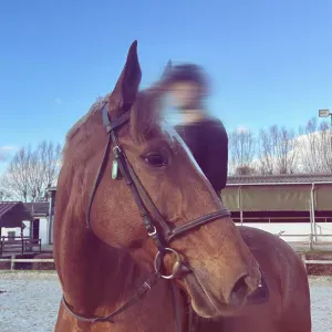 Pet-Sitter à PARIS et au alentours !!!! étudiante véto 