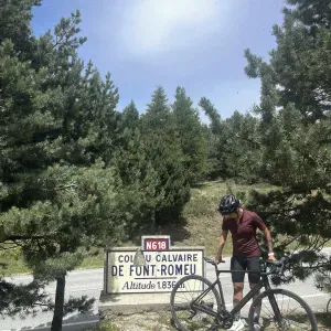 Pet-sitter près de aigues-mortes