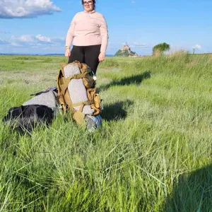 Baby-sitter sur Ecouflant bourg 