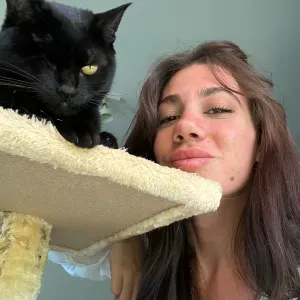 Pet sitting Gatto a Desenzano del garda e dintorni.