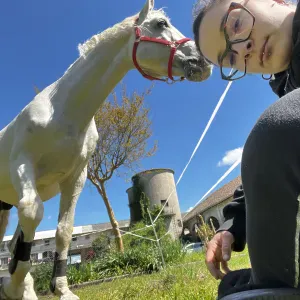 Pet sitter/Addestratrice  Novara e Vercelli