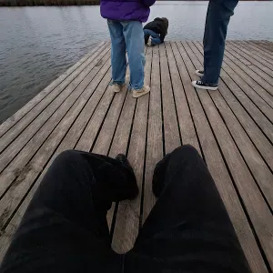 Puiki Gyvūnų priežiūra Kaune