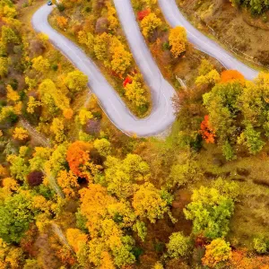 Recherche aide ménagère