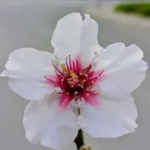 Babysitter na Covilhã com 4 anos de experiência