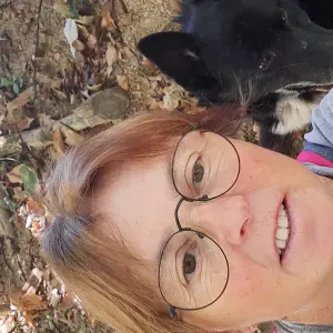 garde au domicile des particuliers chiens ou chats