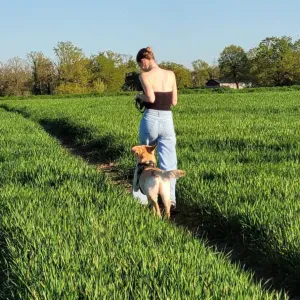 🐾 Dog-sitter passionnée -attention, expérience et sérénité