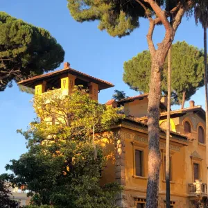 cercasi colf referenziata con esperienza