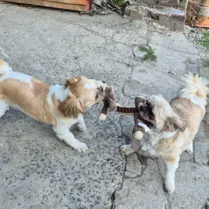 Une garde de nuit et un passage en journée au possible