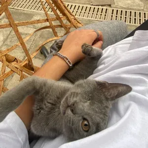 Pet-Sitter 75014 ;) 2025 en cours!