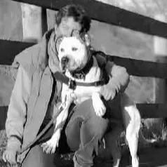 Pet-sitter à Caen et alentours