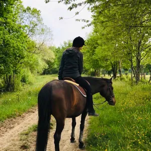 Garde d'animaux Luçon et ses alentours 