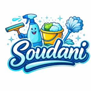 Femme de ménage Lyon alentours 