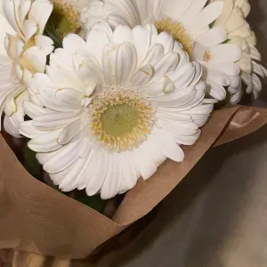 23 anos sem família e doente