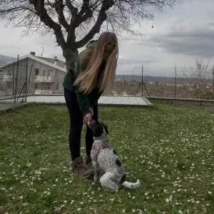 Pet sitting a Castel Frentano e dintorni 📍