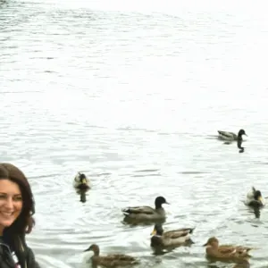 Limpeza de janelas e estores