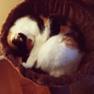 Cherche qqun pour des heures (env.10h) de ménage à Pontlevoy