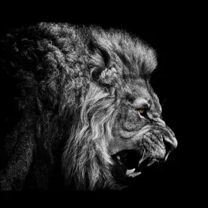 Lavoro per addetto alle pulizie Givoletto