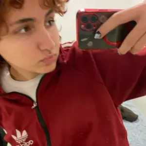 Seu pet bem cuidado enquanto você está fora