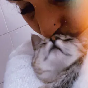 Pet sitting em Loures, Lisboa, Torres Vedras e outros