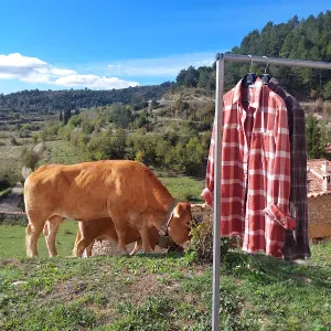 Necesitamos cuidador de mascotas en València