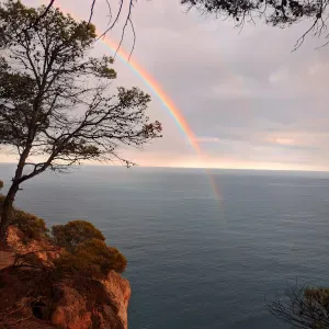 Auxiliaire de vie pour vos proches