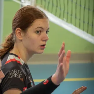 Service fiable de garde et promenade d'animaux