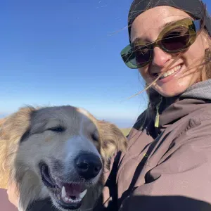 Garde de chiens et chats aux alentours de Bayonne