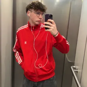 Pet-sitter à Caen et aux alentours