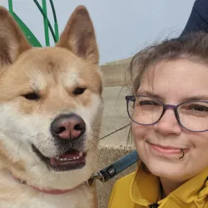 À la recherche d'un pet-sitter 