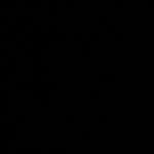 Femme de ménage responsable à Paris 