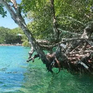 Offre d'emploi pour un(e) femme de ménage àArgenteuil