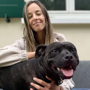 Garde chiens