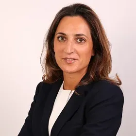 Menage - Megeve Haute Savoie