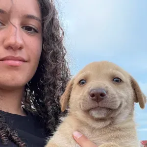 Baby sitter sérieuse sur jouy le moutier 