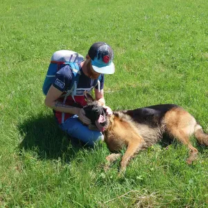 Pet sister sur lys lez lannoy 