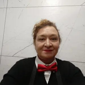 Femme de ménage expérimenté, sérieuse, travaillese, 