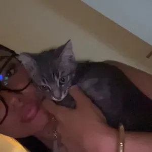 Pet sitter Lagardelle sur leze