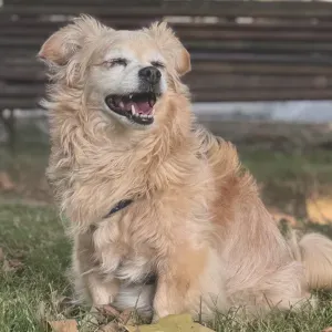 Prefect Day Walks Lousã