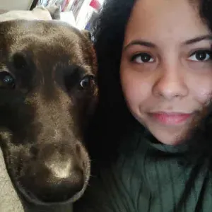 Gardes et soins aux animaux à Bruxelles. 