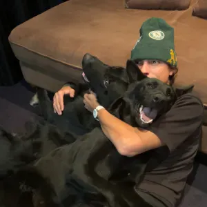 Pet-Sitter Éducateur provenant du sud de la France