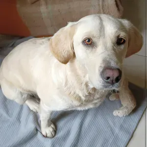 Prof particulier Lyon, Bron et alentour